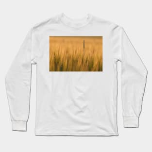 Couch Grass Long Sleeve T-Shirt